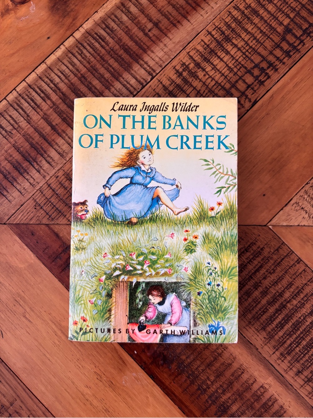 📚3/15$ On The Banks of Plum Creek